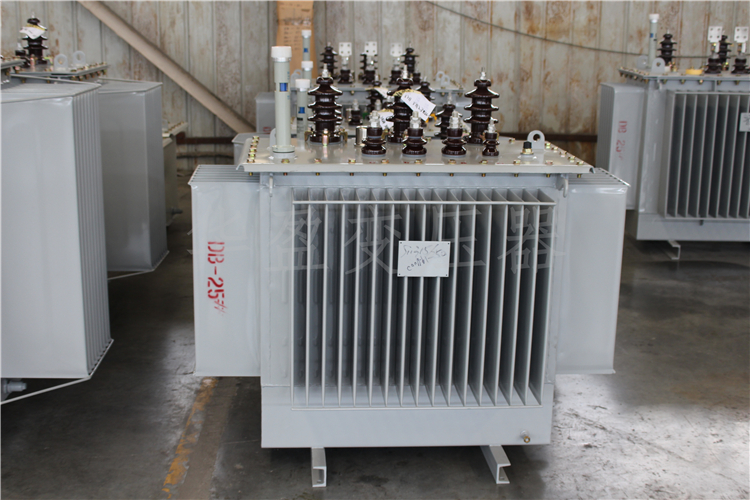 玉林S20-800kVA/10kV/0.4kV变压器